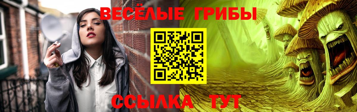 Галлюциногенные грибы GOLDEN TEACHER Волжский