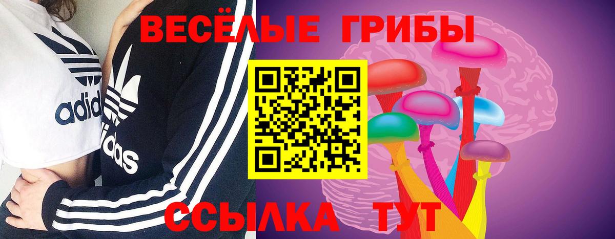 купить закладку  Вход с VPN  Волжский  Псилоцибиновые грибы ЛСД 