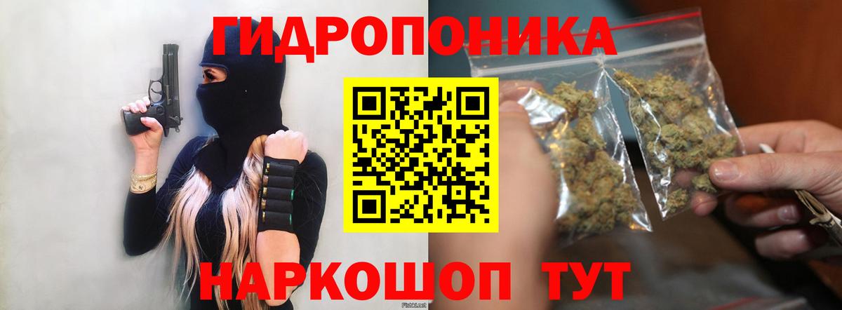 Волжский  Каннабис Ganja  Вход с VPN  Марихуана Bruce Banner 